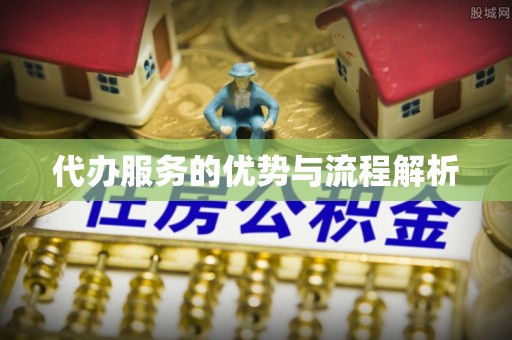 天峻代办服务的优势与流程解析