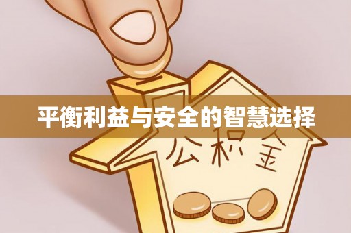 天峻平衡利益与安全的智慧选择