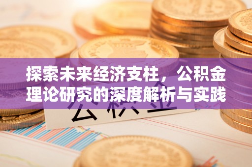 天峻探索未来经济支柱，公积金理论研究的深度解析与实践意义