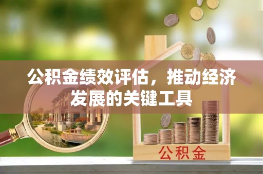 天峻公积金绩效评估，推动经济发展的关键工具