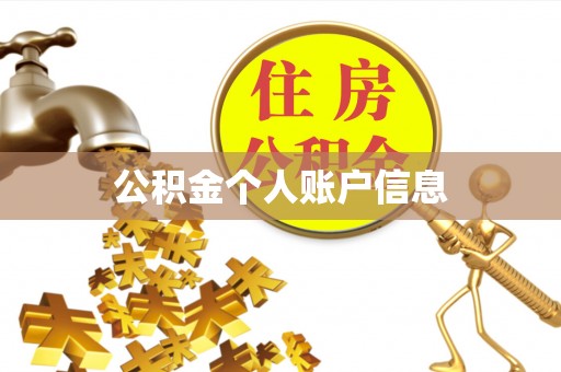 天峻公积金个人账户信息