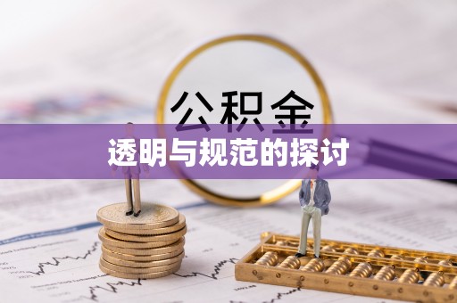 天峻透明与规范的探讨