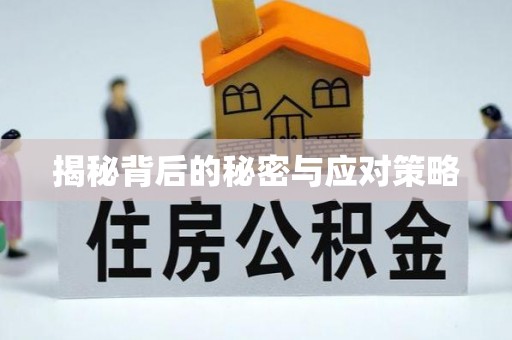 天峻揭秘背后的秘密与应对策略