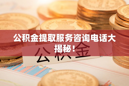 天峻公积金提取服务咨询电话大揭秘！
