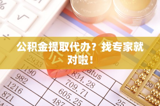天峻公积金提取代办？找专家就对啦！
