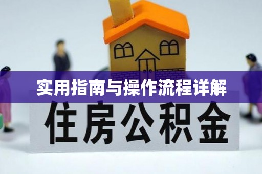 天峻实用指南与操作流程详解